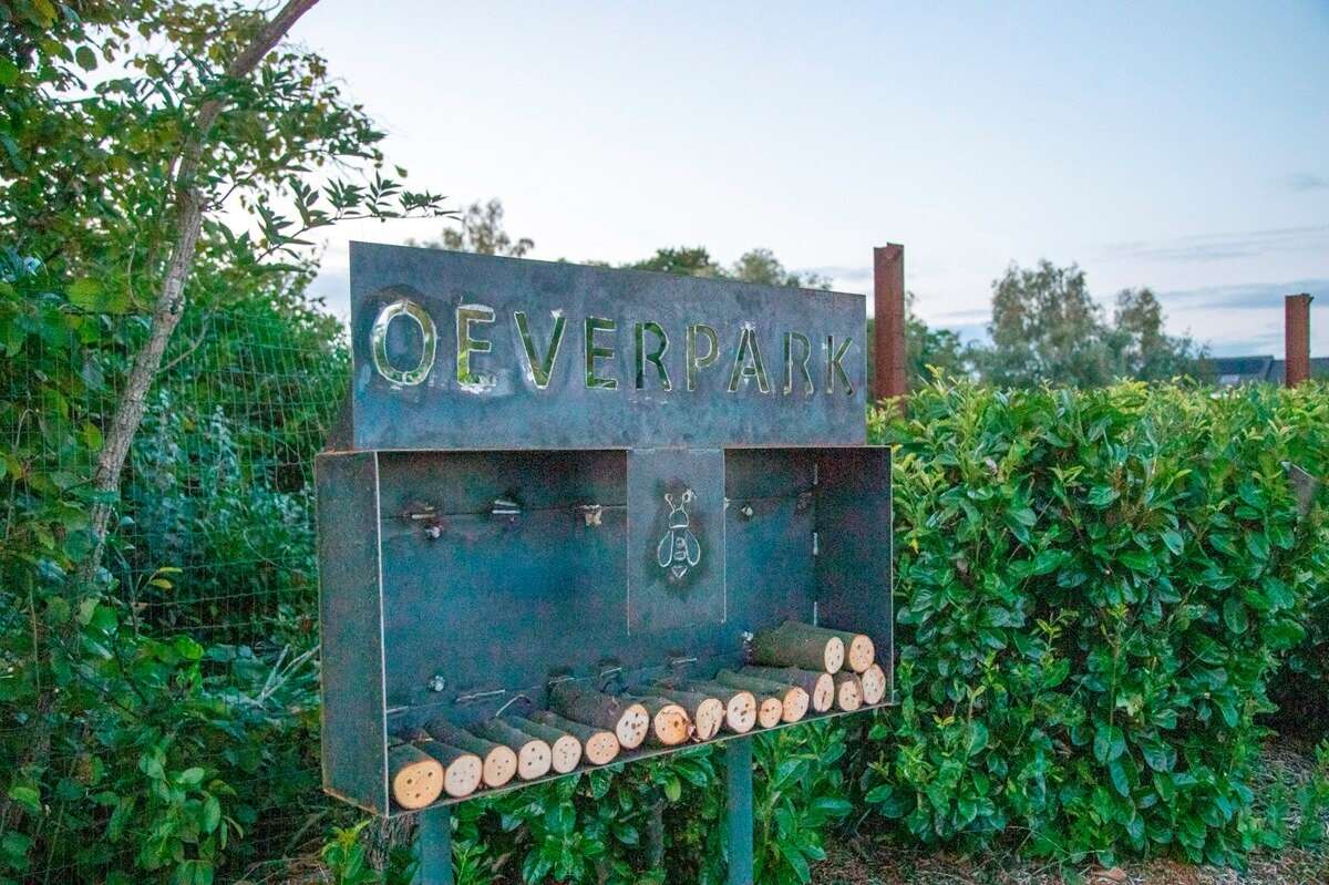 Oeverpark Buggenhout 04 c gemeente Buggenhout