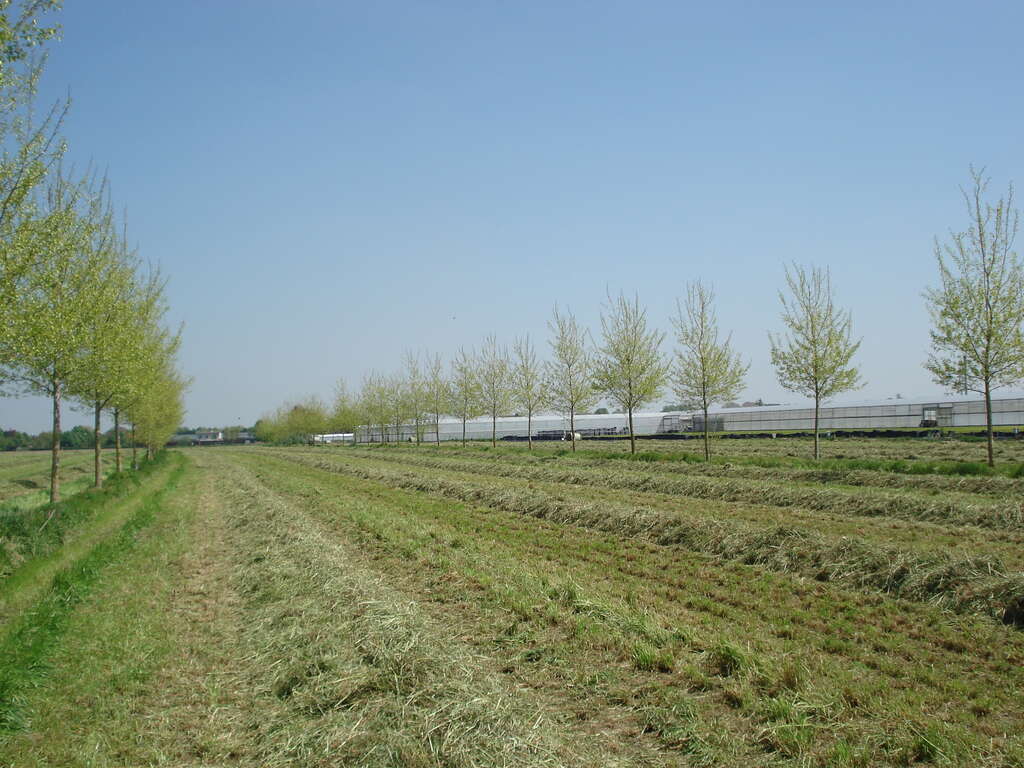 Boslandbouw ILVO