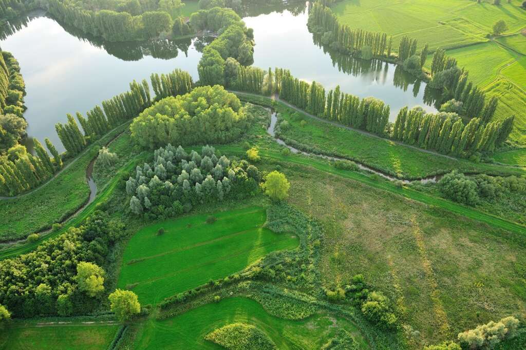 Vilda 89376 Yves Adams Bulbierbroek en Hof Te Rijen