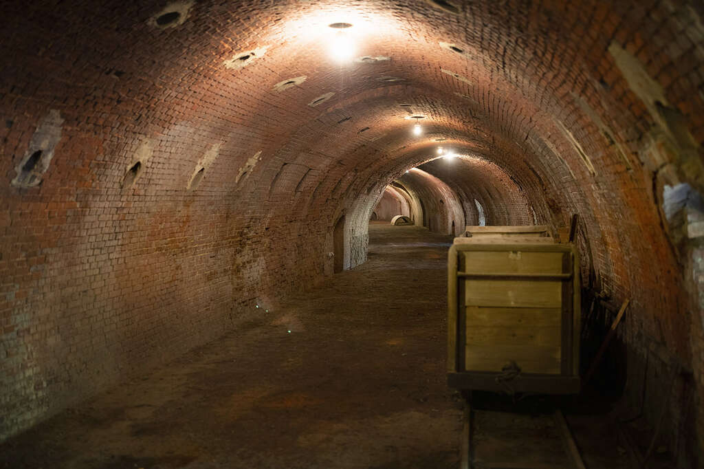 Boom t Geleeg 16 Rupelstreek tunnelwandeling David Samyn Toerisme Scheldeland