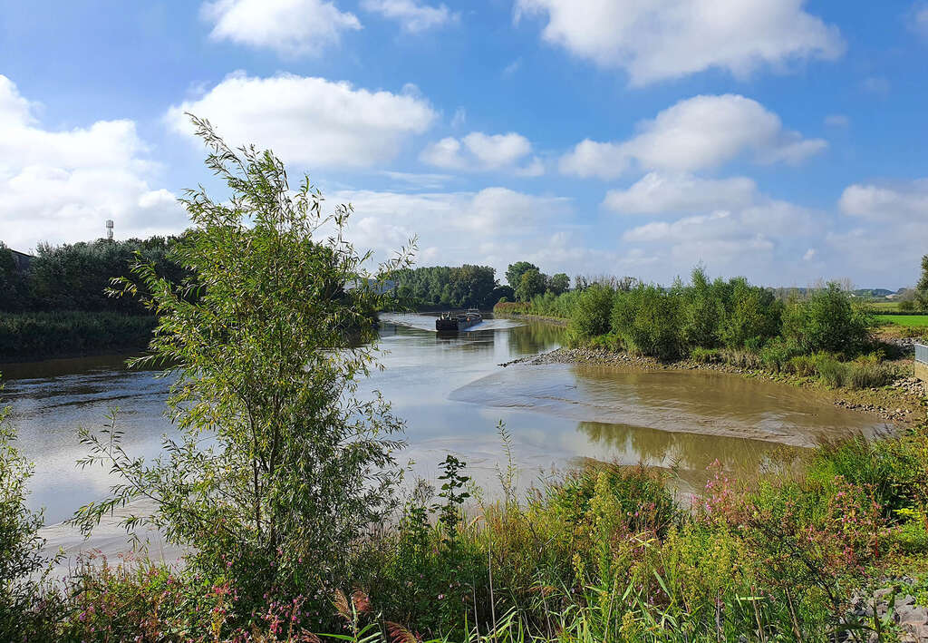 Schelde getijdenrivier Roeckiesworld Toerisme Scheldeland