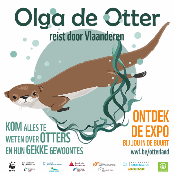 Olga de otter