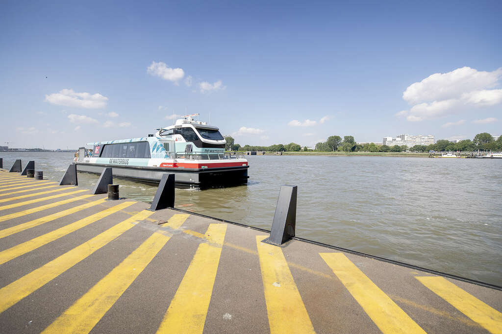 De Waterbus Travelmedia 2019 Antwerpen 47 David Samyn c Toerisme Scheldeland